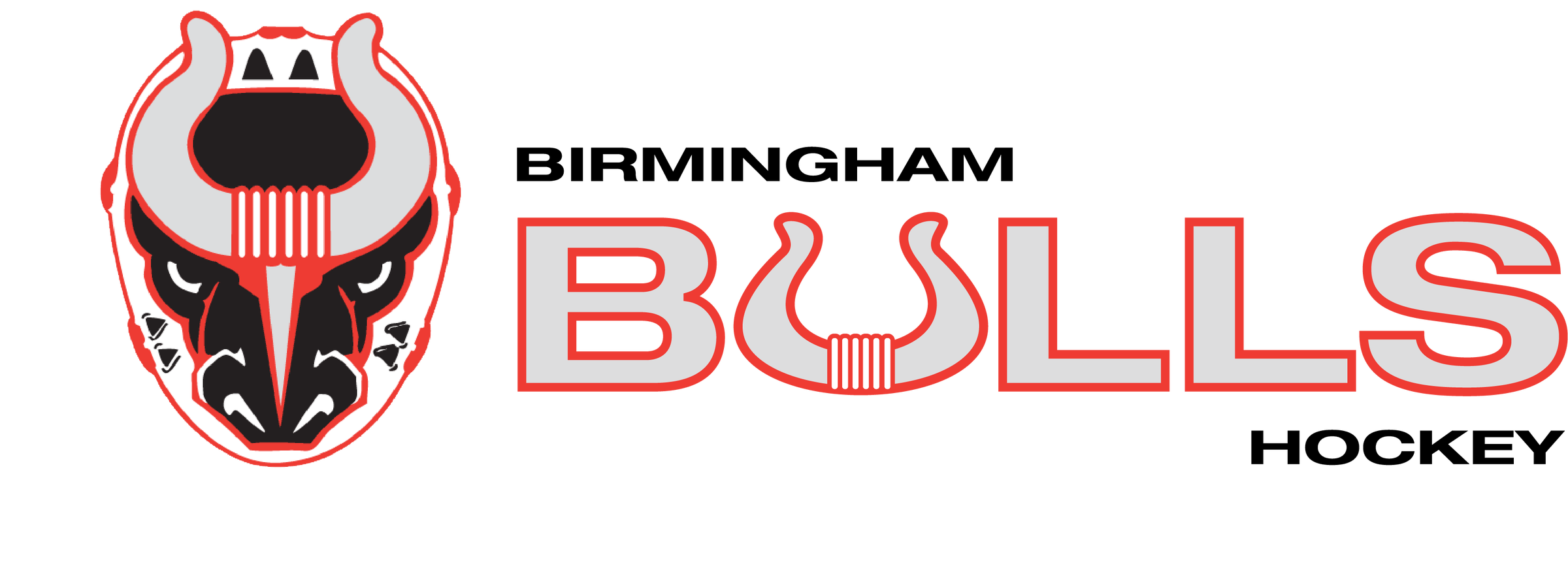 Adult Black Jersey  Birmingham Bulls Team Store